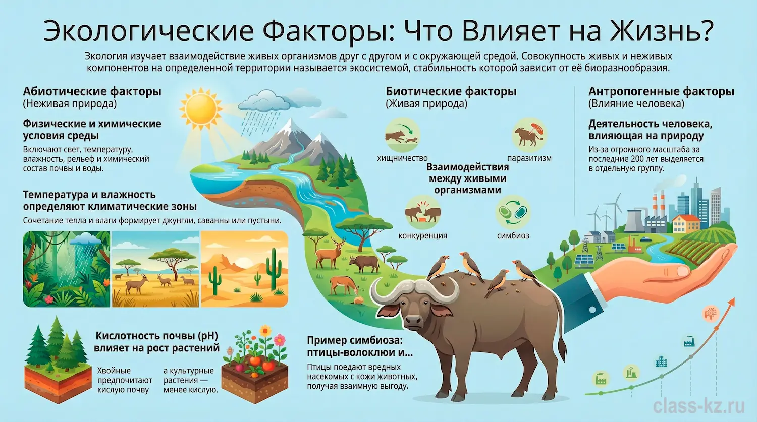Экологические-факторы-инфографика-класс-кз