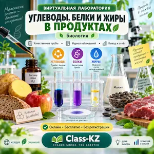 виртуальная-лаборатория-углеводы-белки-жиры-в-продуктах-класс-кз
