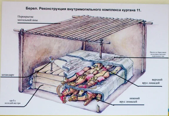Реконструкция сакского погребения